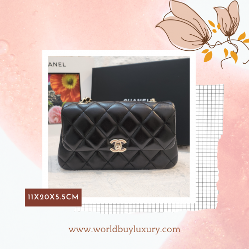 Chanel 25S Handbag
